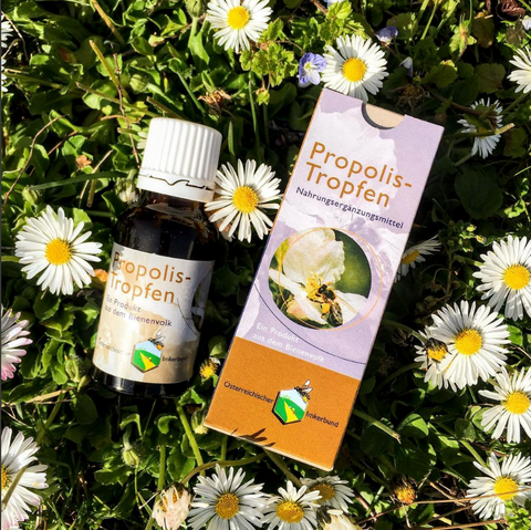 Propolistropfen 20ml